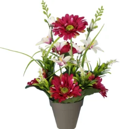 POT GERBERAS DELPHINIUMS