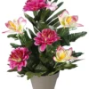 POT GERBE ZINNIAS ORCHIDEES