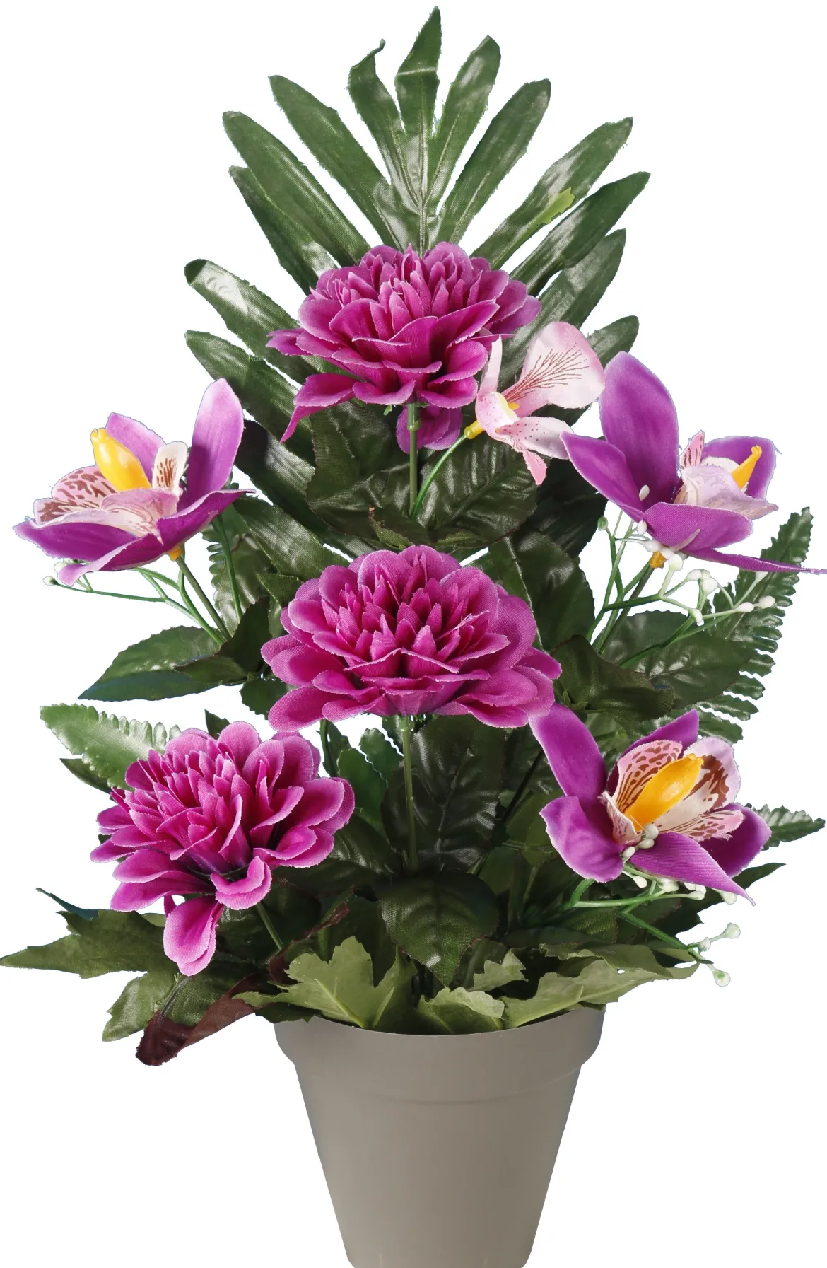 POT GERBE ZINNIAS ORCHIDEES