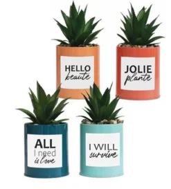 POT MESSAGE METAL COLORE SUCCULENTE H.17CM