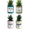 POT MESSAGE METAL COLORE SUCCULENTE H.17CM
