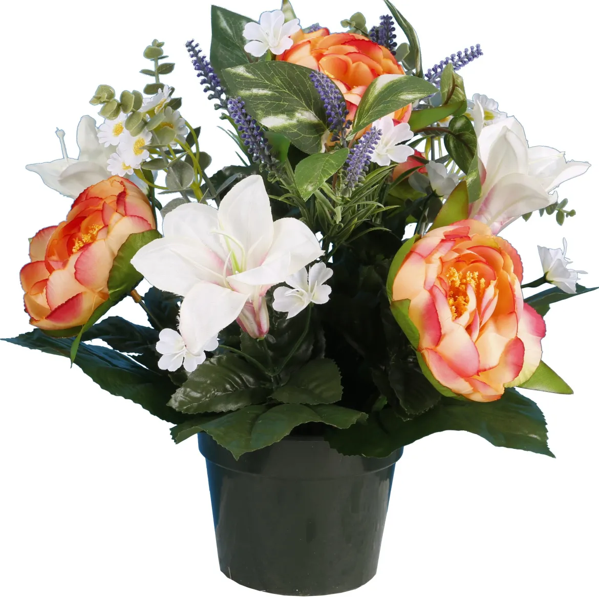 POT PIVOINE LYS