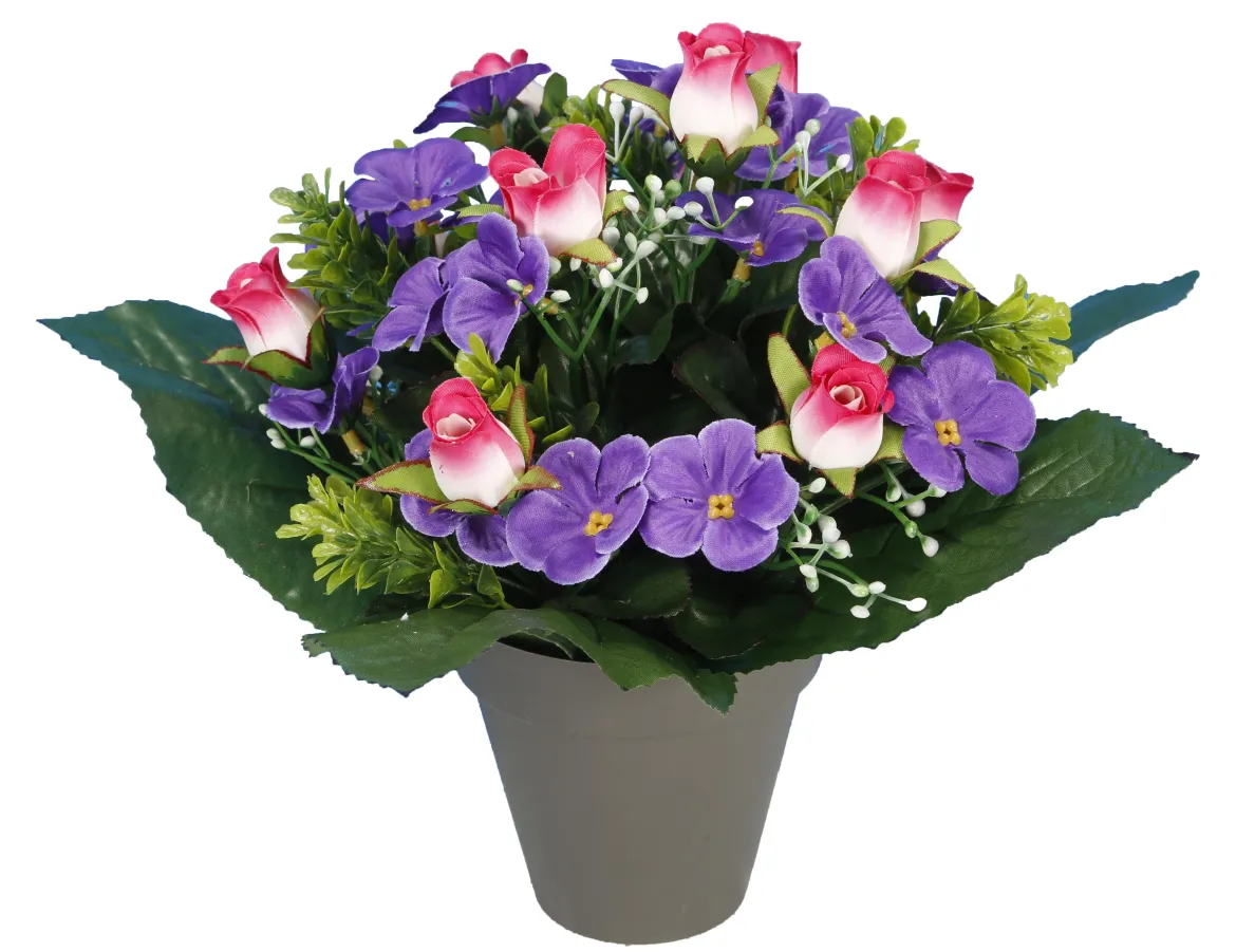 POT VIOLETTES ET BOUTONS ROSES