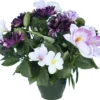 POT ZINIAS ORCHIDEES GERBERAS
