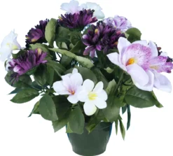 POT ZINIAS ORCHIDEES GERBERAS