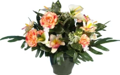 POT ZINNIA ARUM ORCHIDEE