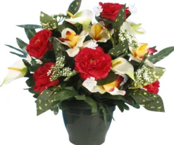 POT ZINNIA ARUM ORCHIDEE