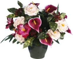 POT ZINNIA ARUM ORCHIDEE