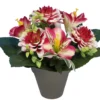 POT ZINNIAS ALSTROMERIAS