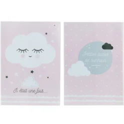 PROTEGE CARNET DE SANTE