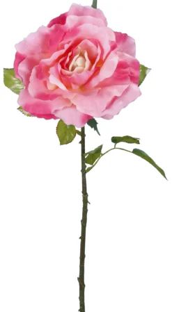ROSE ROSEH.102CM