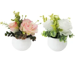 ROSES ET EUCALYPTUS POT BLANC POT H.16CM BLANC ET ROSE