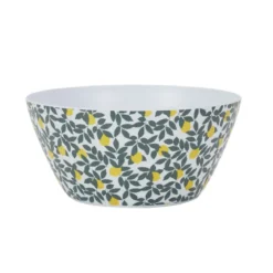 SALADIER ZESTE MELAMINE 25CM
