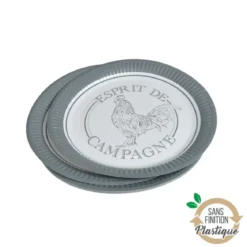 SET 10 ASSIETTES CARTON D.23CM ESPRIT DE CAMPAGNE