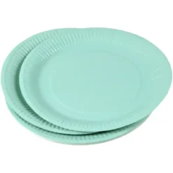 SET 20 ASSIETTES RONDE CARTON D.23CM SAUGE