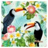 SET 20 SERVIETTES BIRDS 33X33CM