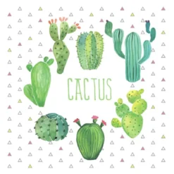 SET 20 SERVIETTES CACTUS 33X33CM