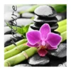 SET 20 SERVIETTES NATURE 33X33CM