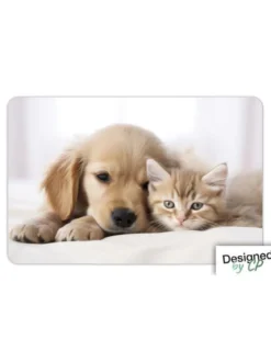 SET TABLE CHIEN