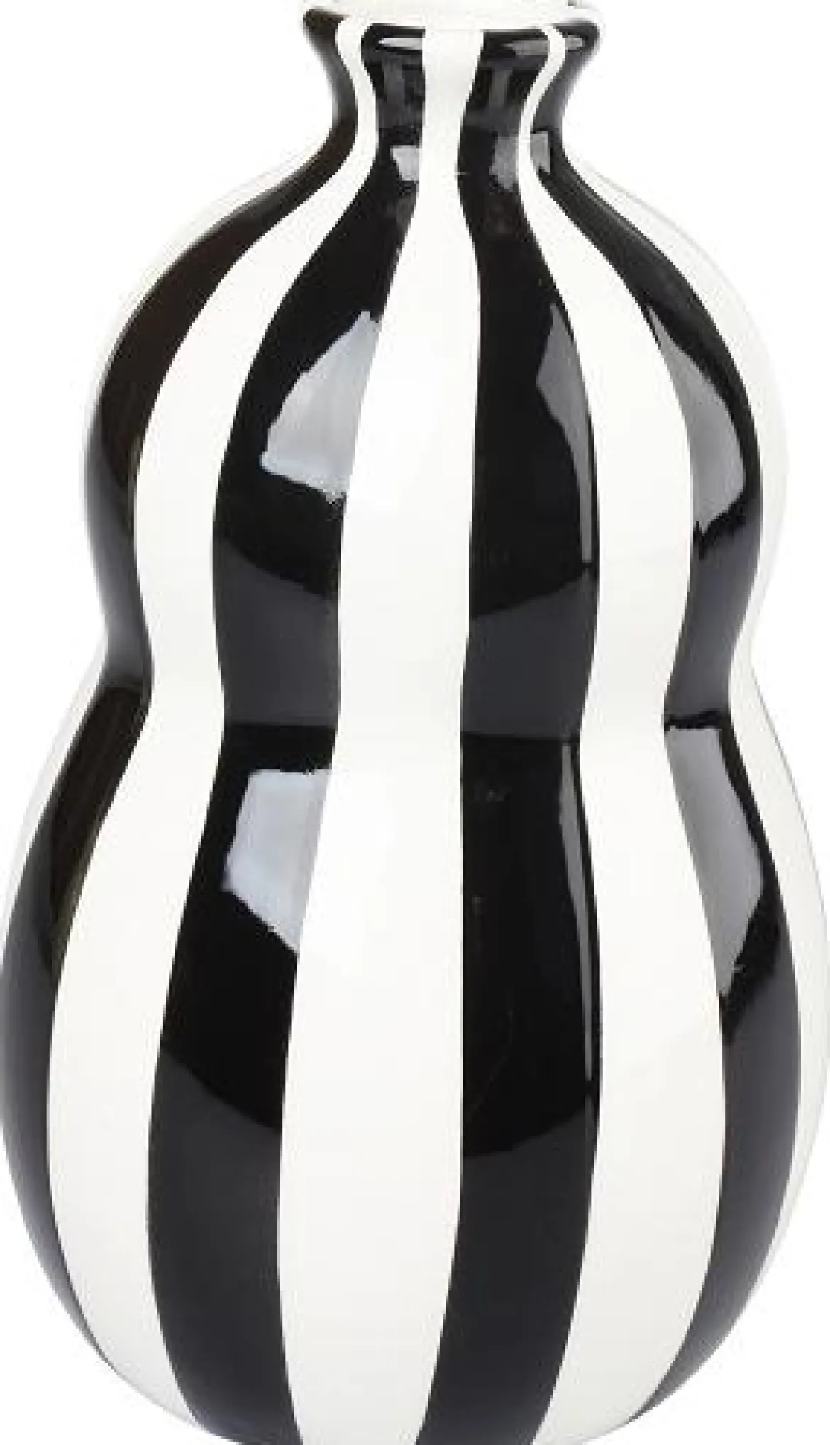 SOLIFLORE H.20CM NOIR ET BLANC