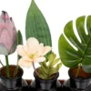 SOLIFLORE X3 VERRE NATUREL EXOTIC PANAMA