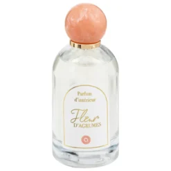 SPRAY AMBIANCE WILD 100ML