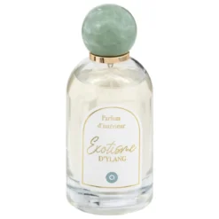 SPRAY AMBIANCE WILD 100ML