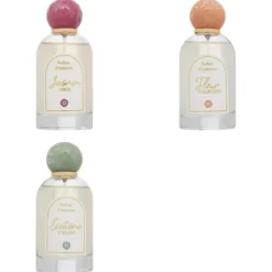 SPRAY AMBIANCE WILD 100ML