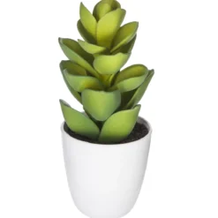 SUCCULENTE CACTUS H.18CM