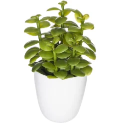 SUCCULENTE CACTUS H.18CM