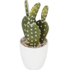 SUCCULENTE CACTUS H.18CM