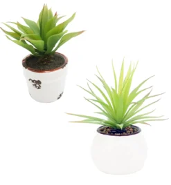 SUCCULENTE POT CERAMIQUE EFFET ROUILLE