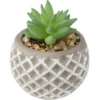 SUCCULENTE POT CIMENT D.8X9CM