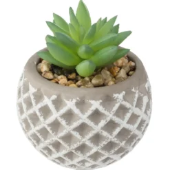 SUCCULENTE POT CIMENT D.8X9CM