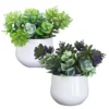 SUCCULENTE POT PLASTIQUE BLANC H.18CM