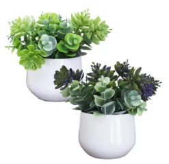 SUCCULENTE POT PLASTIQUE BLANC H.18CM