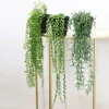 SUCCULENTE RETOMBANTE POT PLASTIQUE NOIR H40 60CM