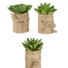 SUCCULENTES EN SAC JUTE H9CM
