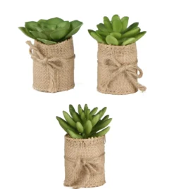 SUCCULENTES EN SAC JUTE H9CM