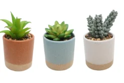 SUCCULENTES POT CERAMIQUE ROND H.10CM