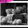 TABLEAU BAGUETTE NOIRE CHATONS 30X25CM