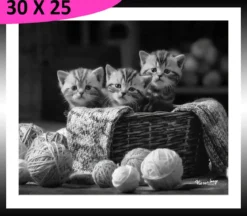TABLEAU BAGUETTE NOIRE CHATONS 30X25CM