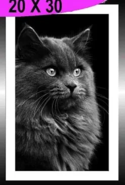 TABLEAU 20X30CM BAGUETTE NOIR CHAT