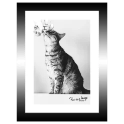 TABLEAU 15X20CM BAGUETTE NOIRE CHAT