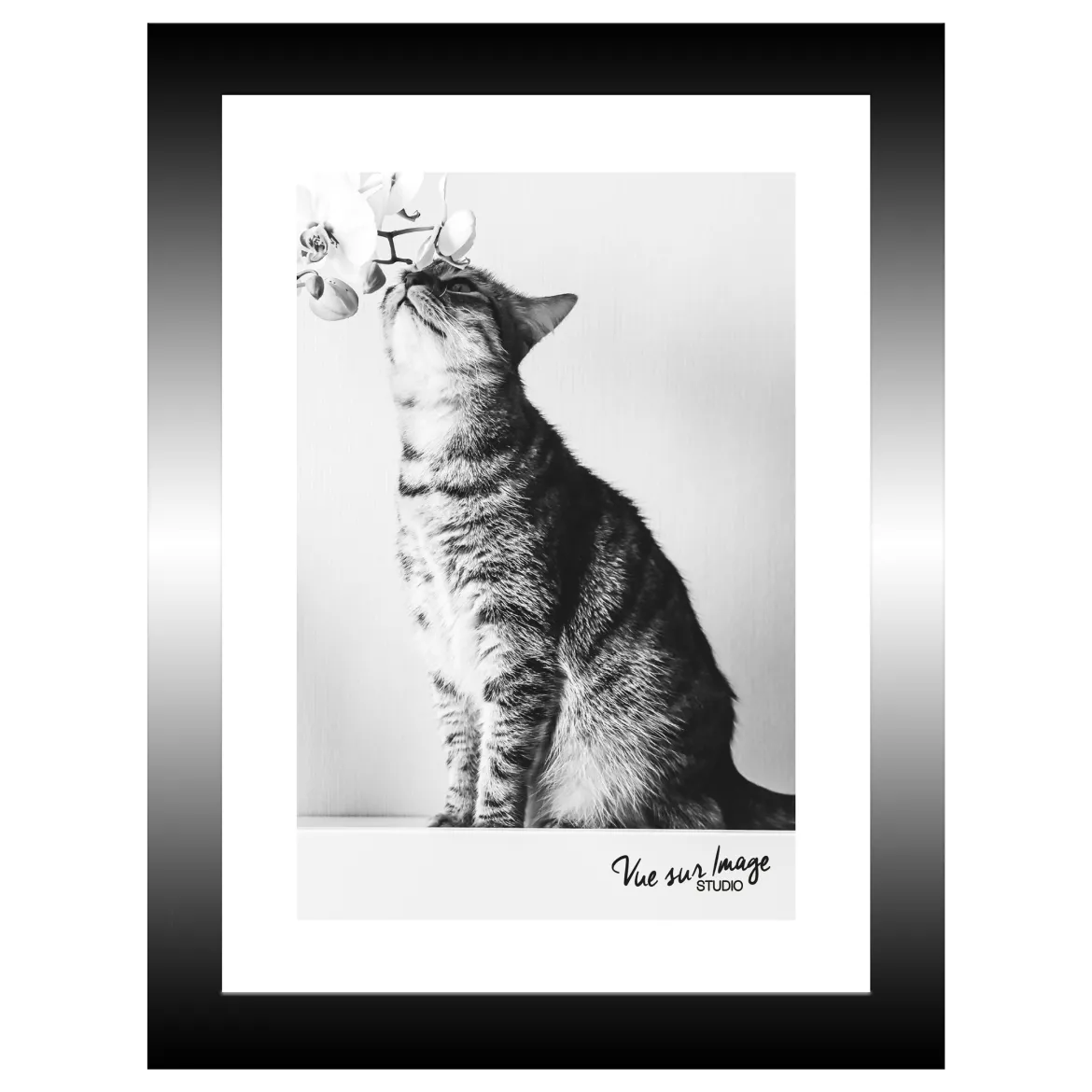 TABLEAU 15X20CM BAGUETTE NOIRE CHAT
