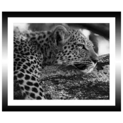 TABLEAU 30X25CM BAGUETTE NOIRE GUEPARD