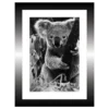 TABLEAU 15X20CM BAGUETTE NOIRE KOALA