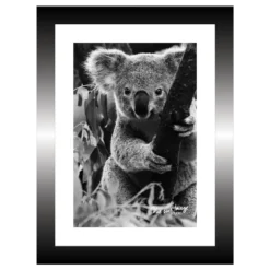 TABLEAU 15X20CM BAGUETTE NOIRE KOALA