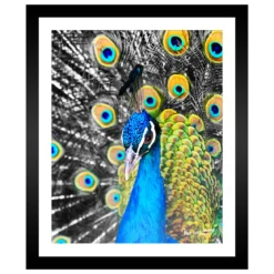 TABLEAU 25X30CM BAGUETTE NOIRE MAT PAON
