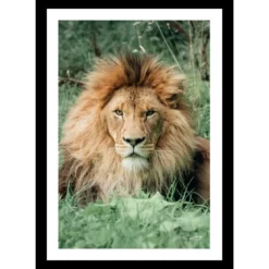 TABLEAU 25X35CM BAGUETTE NOIRE MAT LION